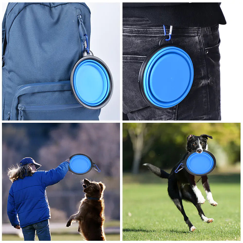 PAWS Collapsible Frisbee Bowl
