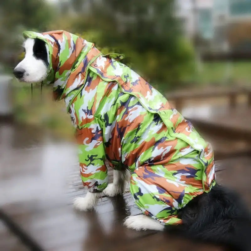 FURRFECT Doggo Raincoat