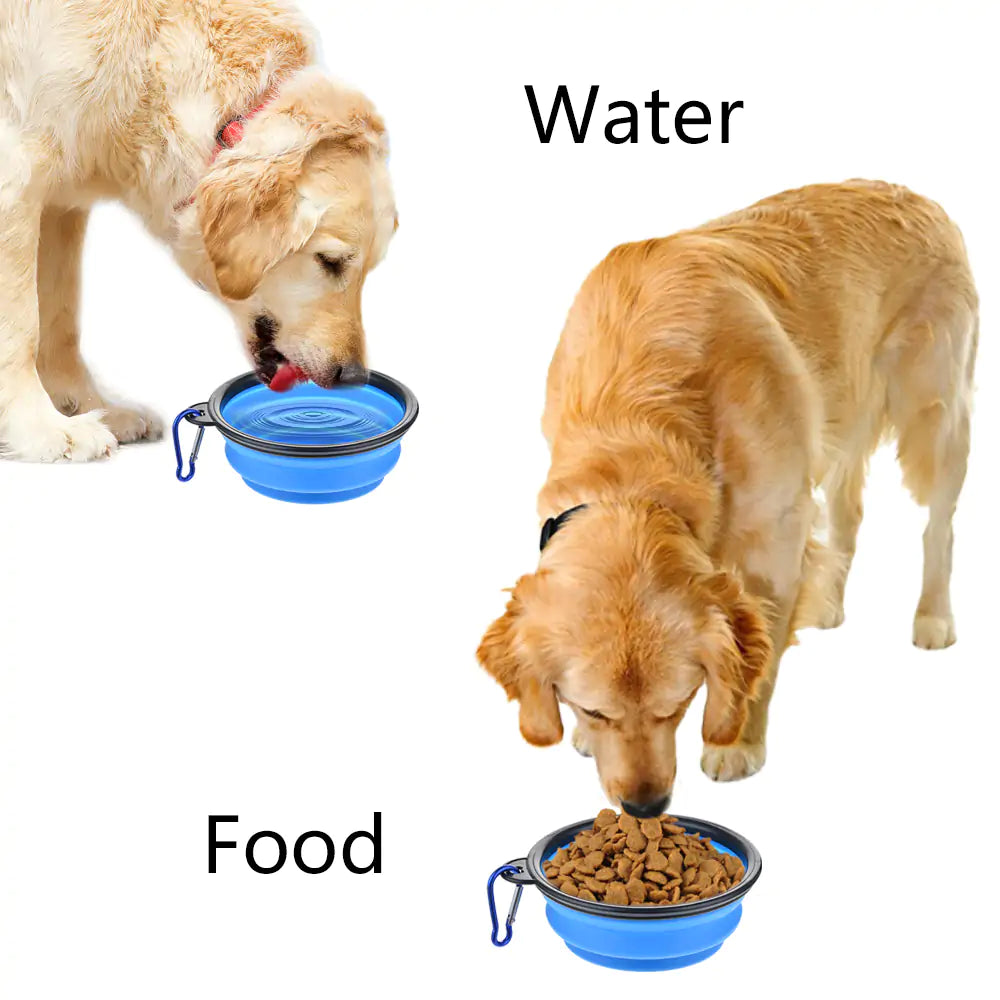 PAWS Collapsible Frisbee Bowl