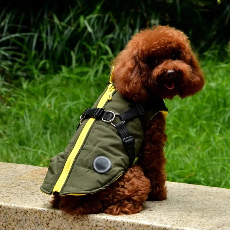 Waterproof Pet Coat Harness