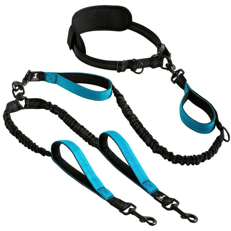 Reflective DUO Leash