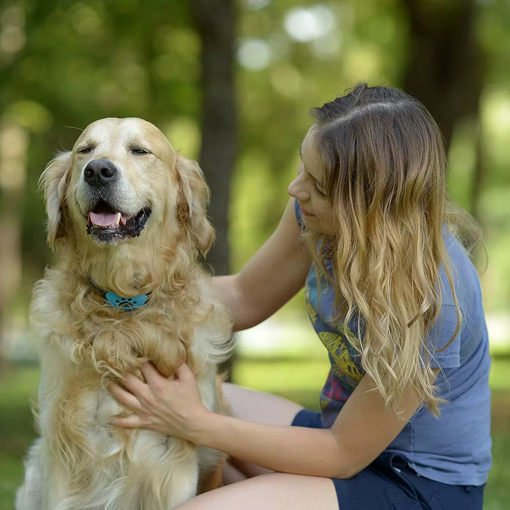 Anti-Bark Dog Training Collar