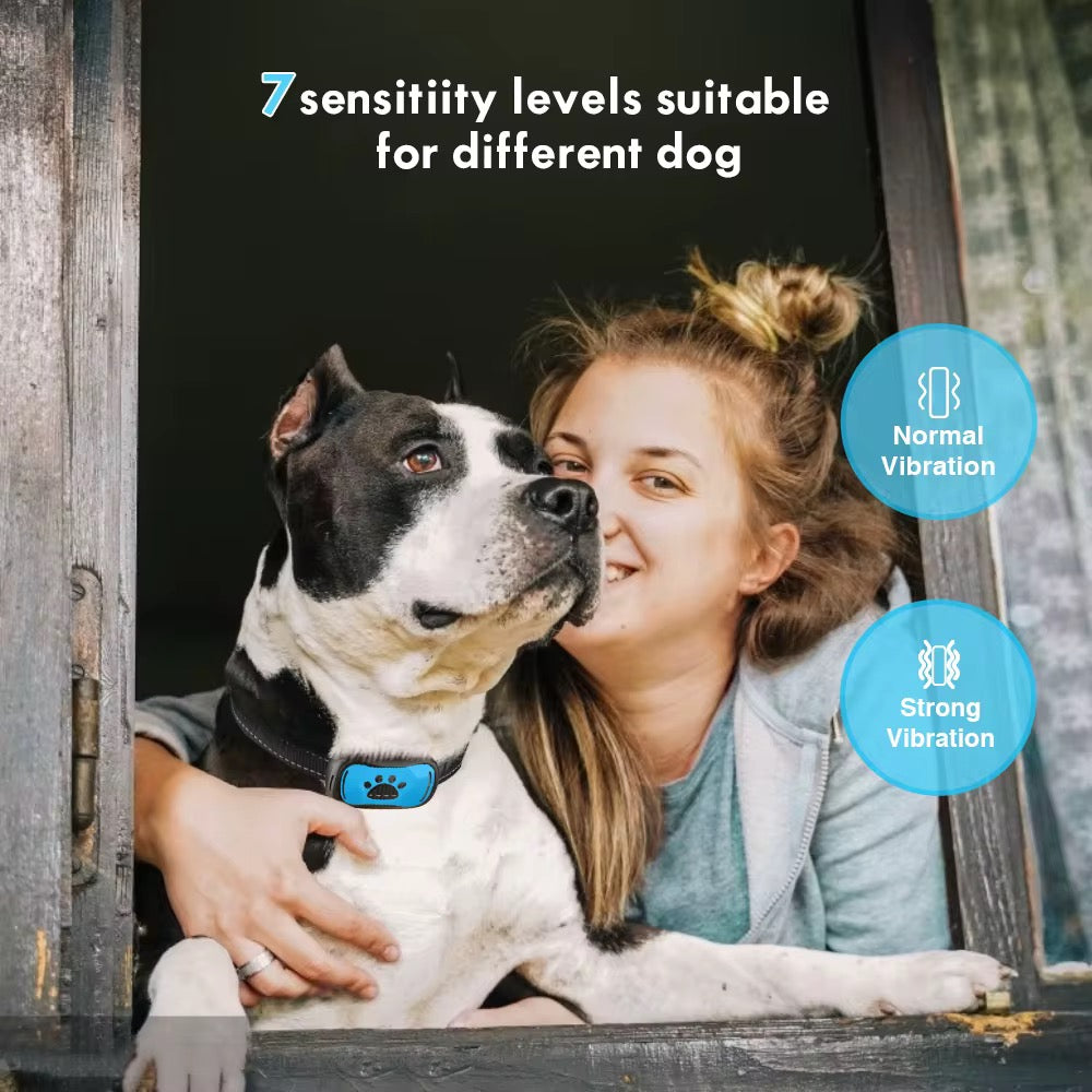 Anti-Bark Dog Training Collar