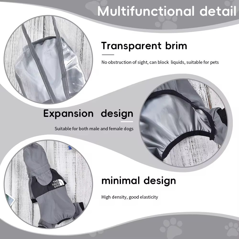 Gray Transparent Raincoat