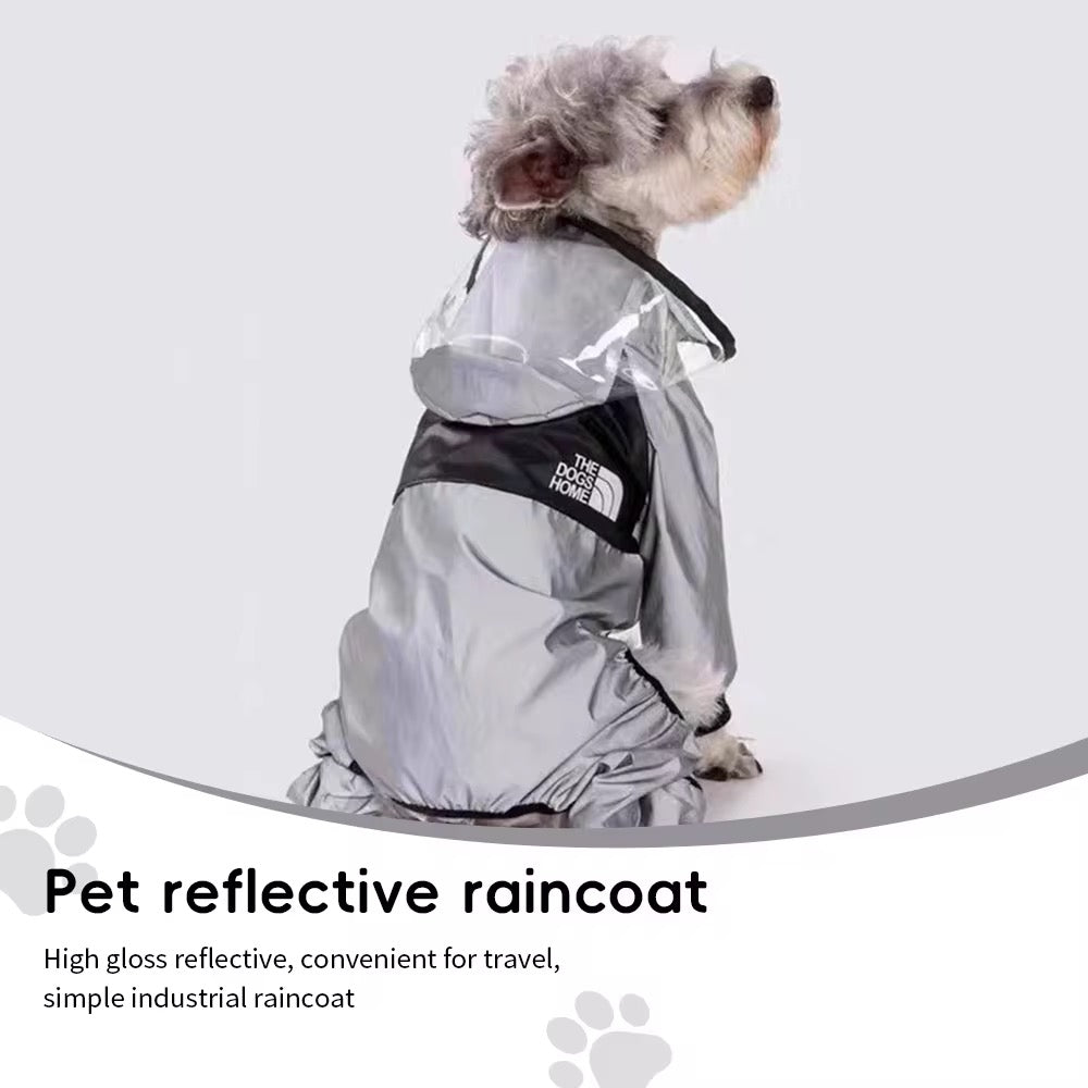 Gray Transparent Raincoat