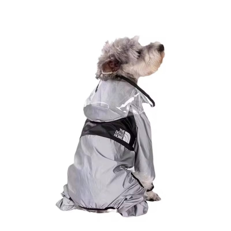Gray Transparent Raincoat