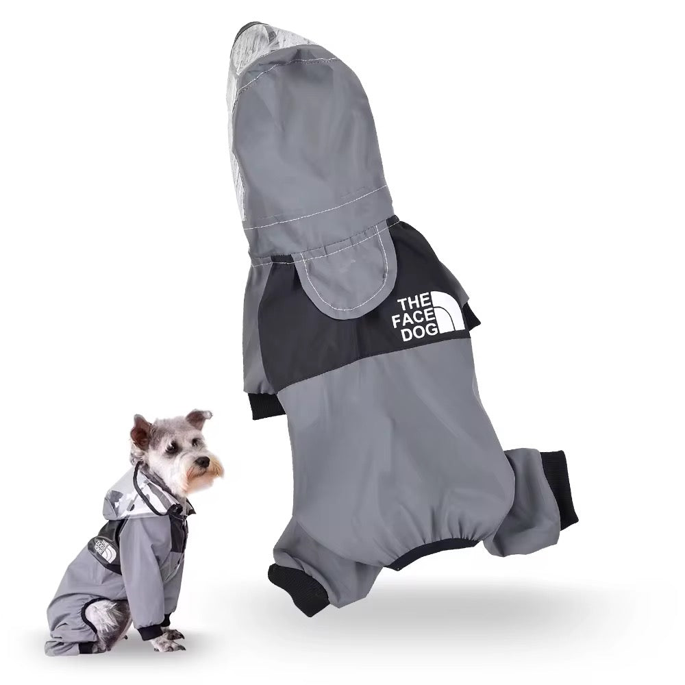 Gray Transparent Raincoat