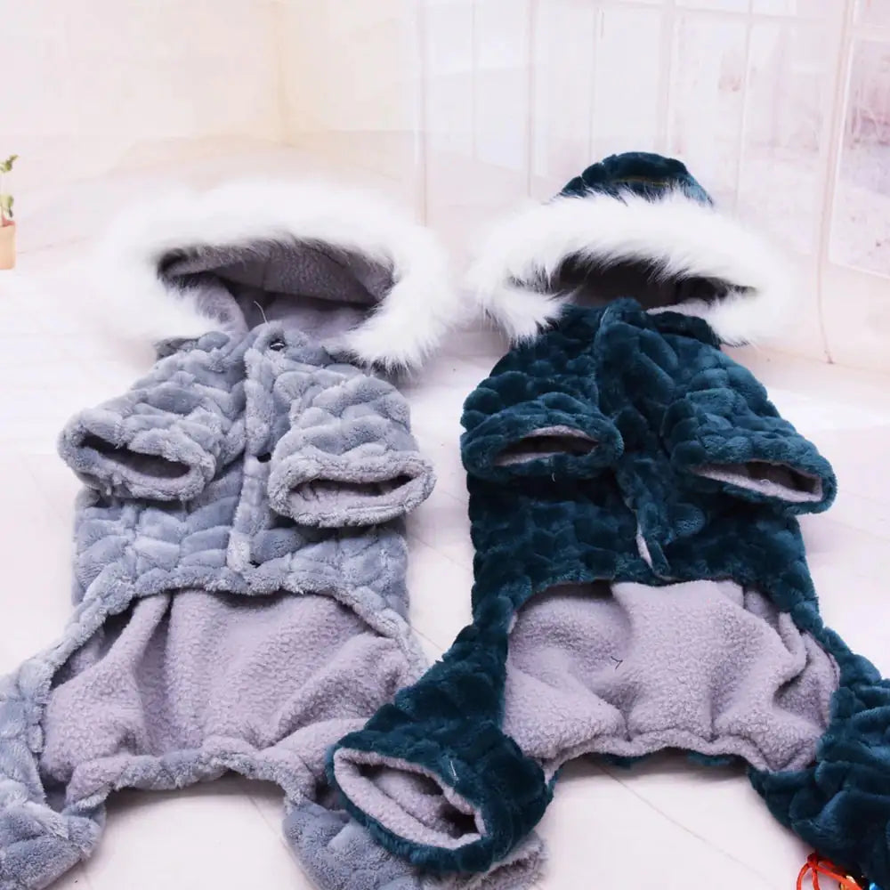 Frost Fury Pet Jacket