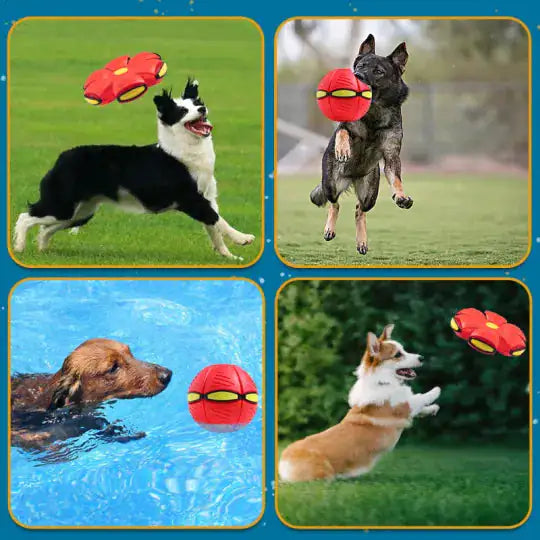 AeroSaucer Ball