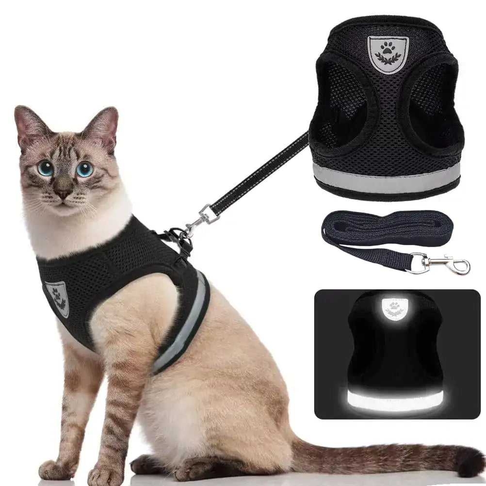 CozyCat Harness