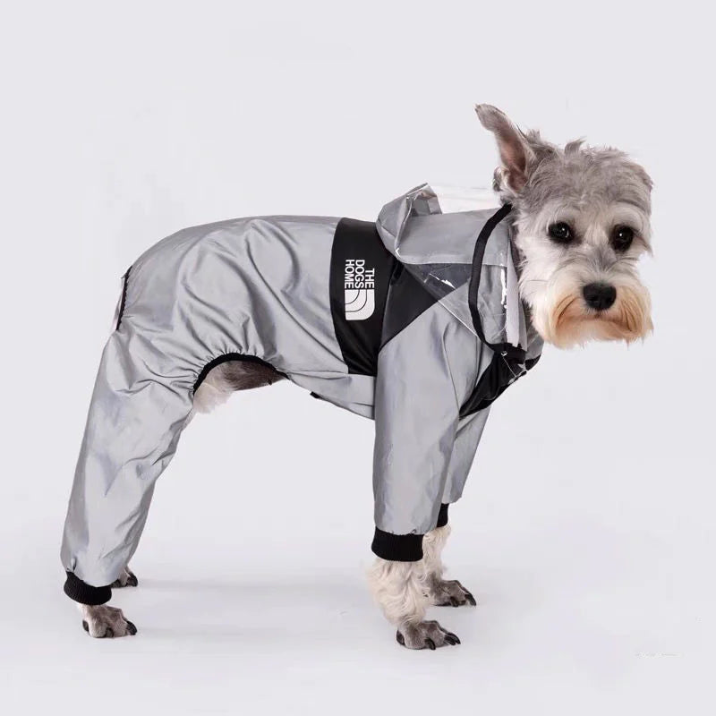 Gray Transparent Raincoat