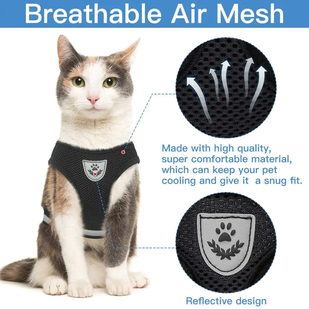 CozyCat Harness