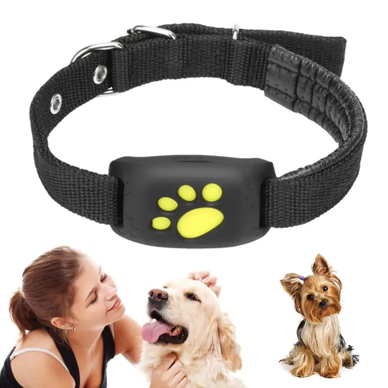 PetSafe GPS Tracker Collar