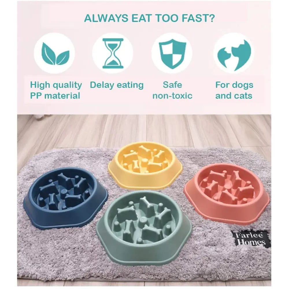 Munch Maze Slow Feeder