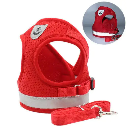 CozyCat Harness