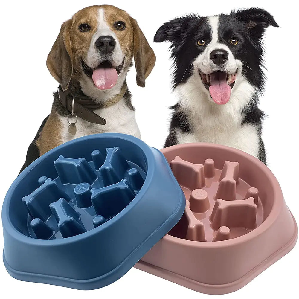 Munch Maze Slow Feeder