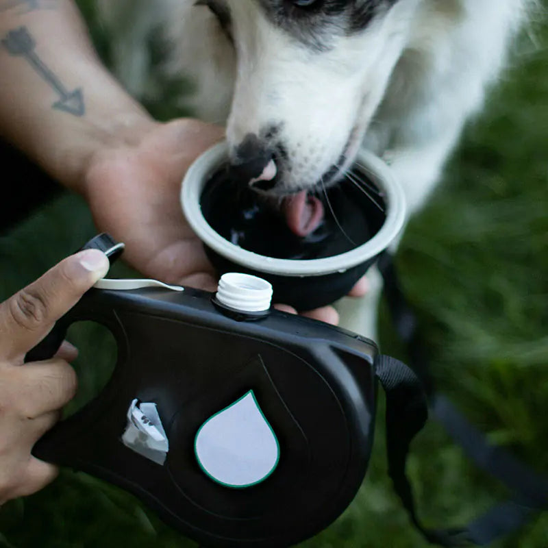 Paws Multifunctional Pet Leash