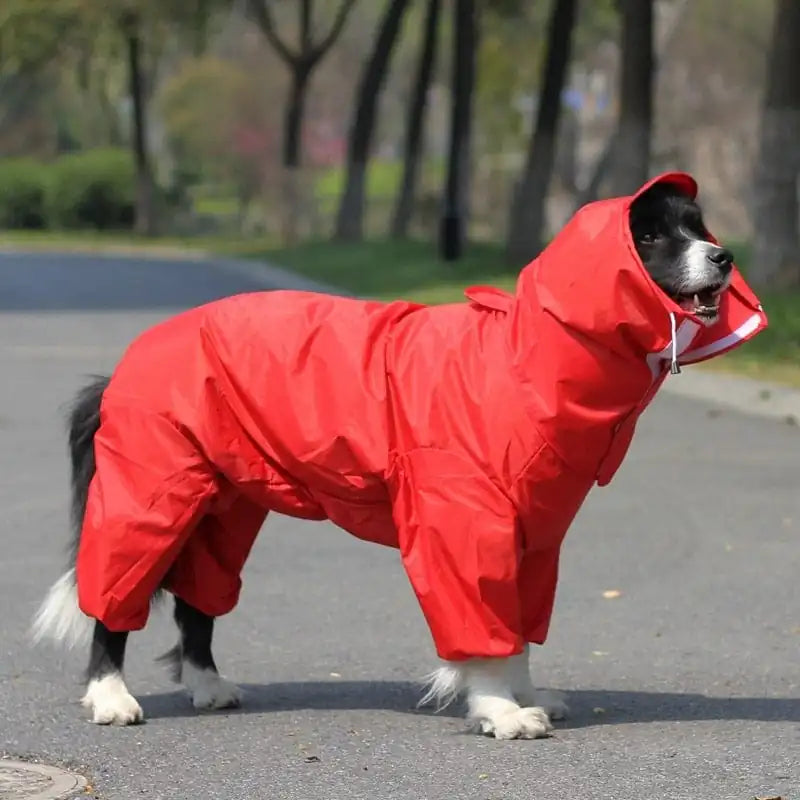 FURRFECT Doggo Raincoat