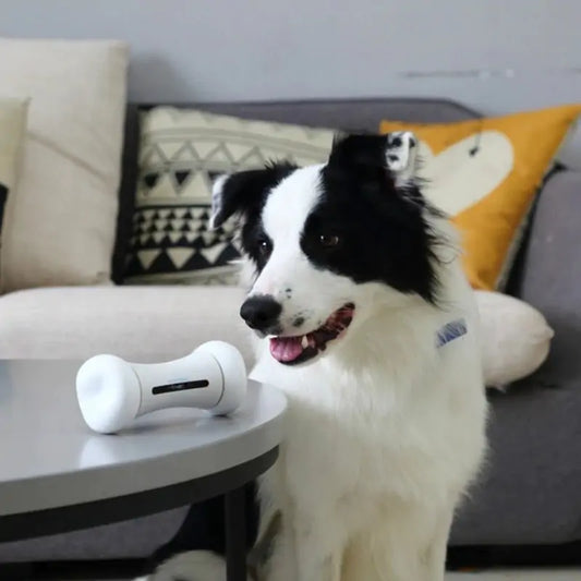 Bone Buddy