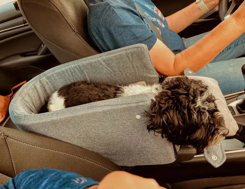 FIDO Safety Seat