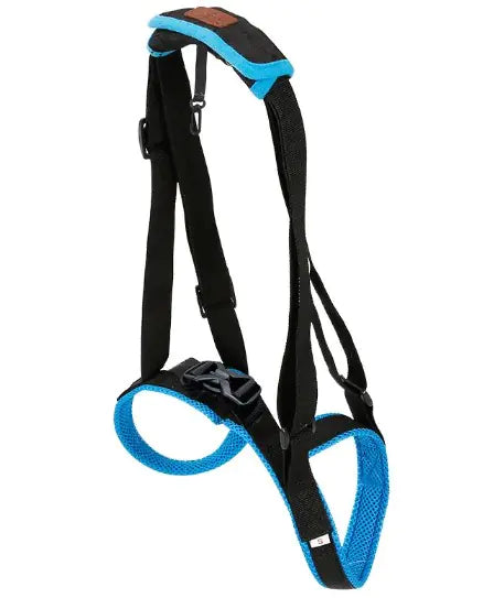 Canine Leg Support
