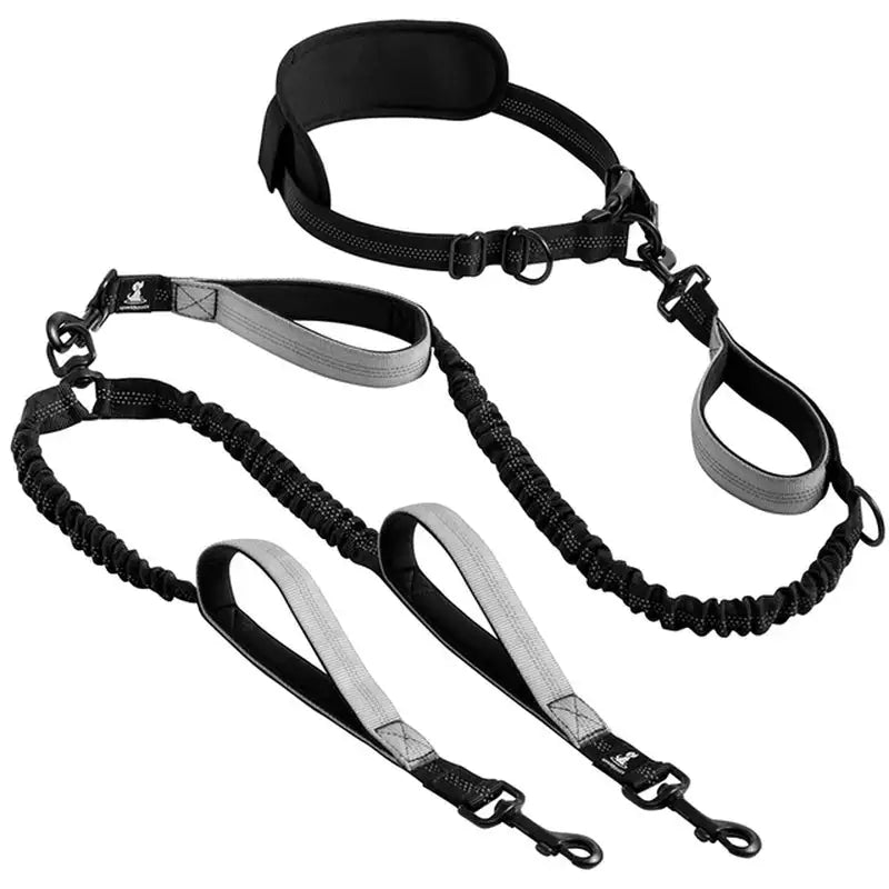 Reflective DUO Leash