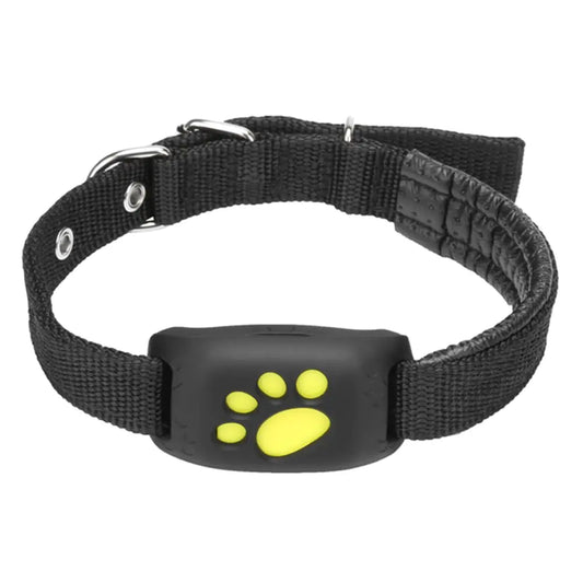 PetSafe GPS Tracker Collar