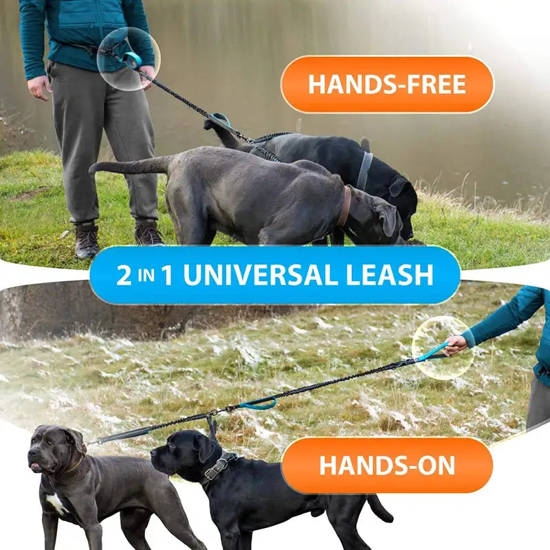 Reflective DUO Leash
