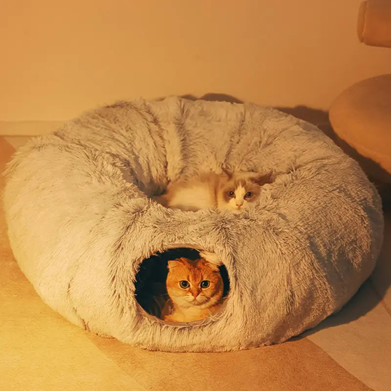 Comfy Cubby