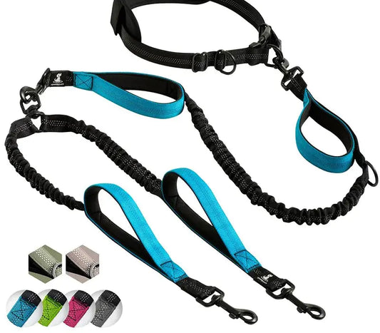 Reflective DUO Leash