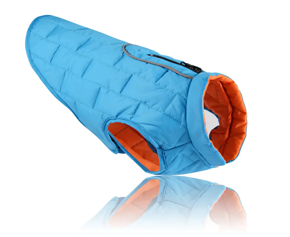 Regal British Dog Apparel