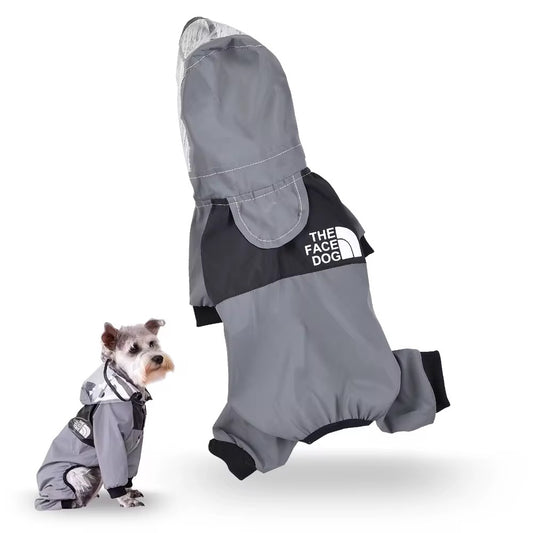 Gray Transparent Raincoat