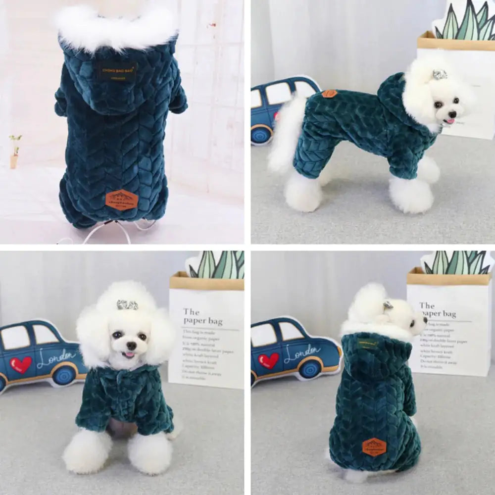 Frost Fury Pet Jacket