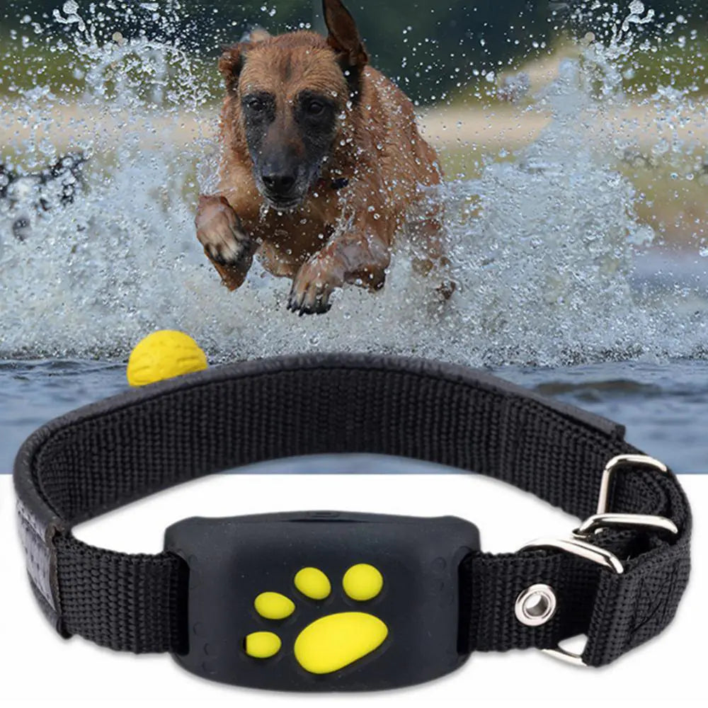 PetSafe GPS Tracker Collar