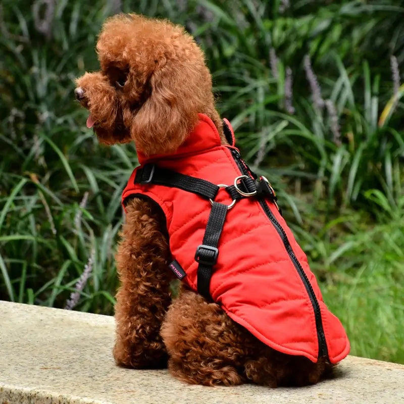Waterproof Pet Coat Harness