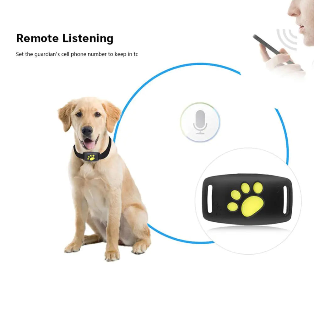 PetSafe GPS Tracker Collar