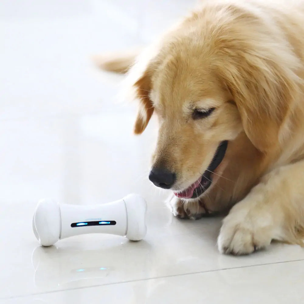 Bone Buddy
