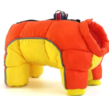 Fido Winter Attire