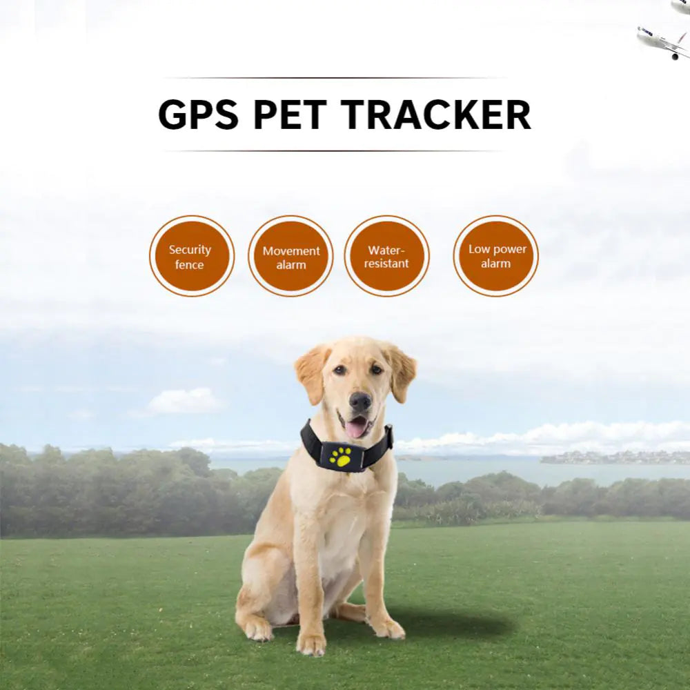 PetSafe GPS Tracker Collar