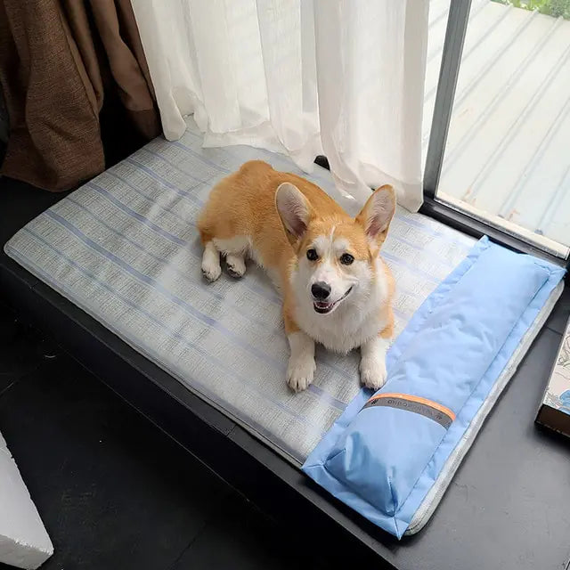 MyPAWS Cooling Mat