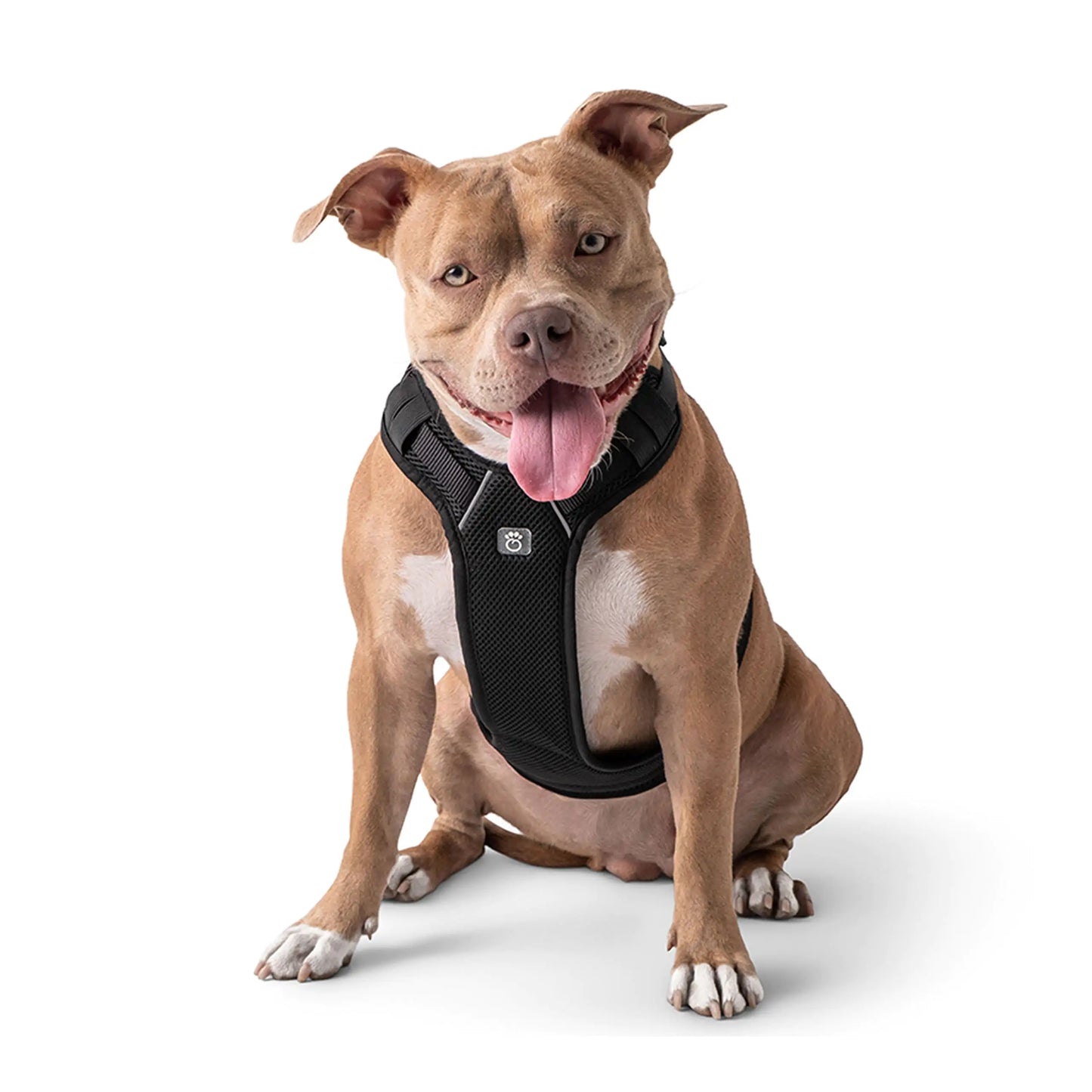 Pet Travel Harness