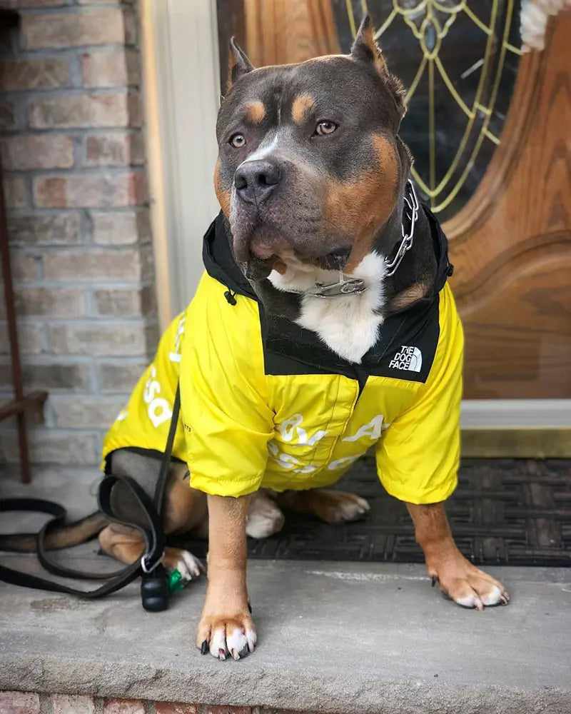 Waterproof Windbreaker