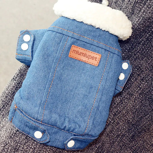 Fashion Denim Jacket