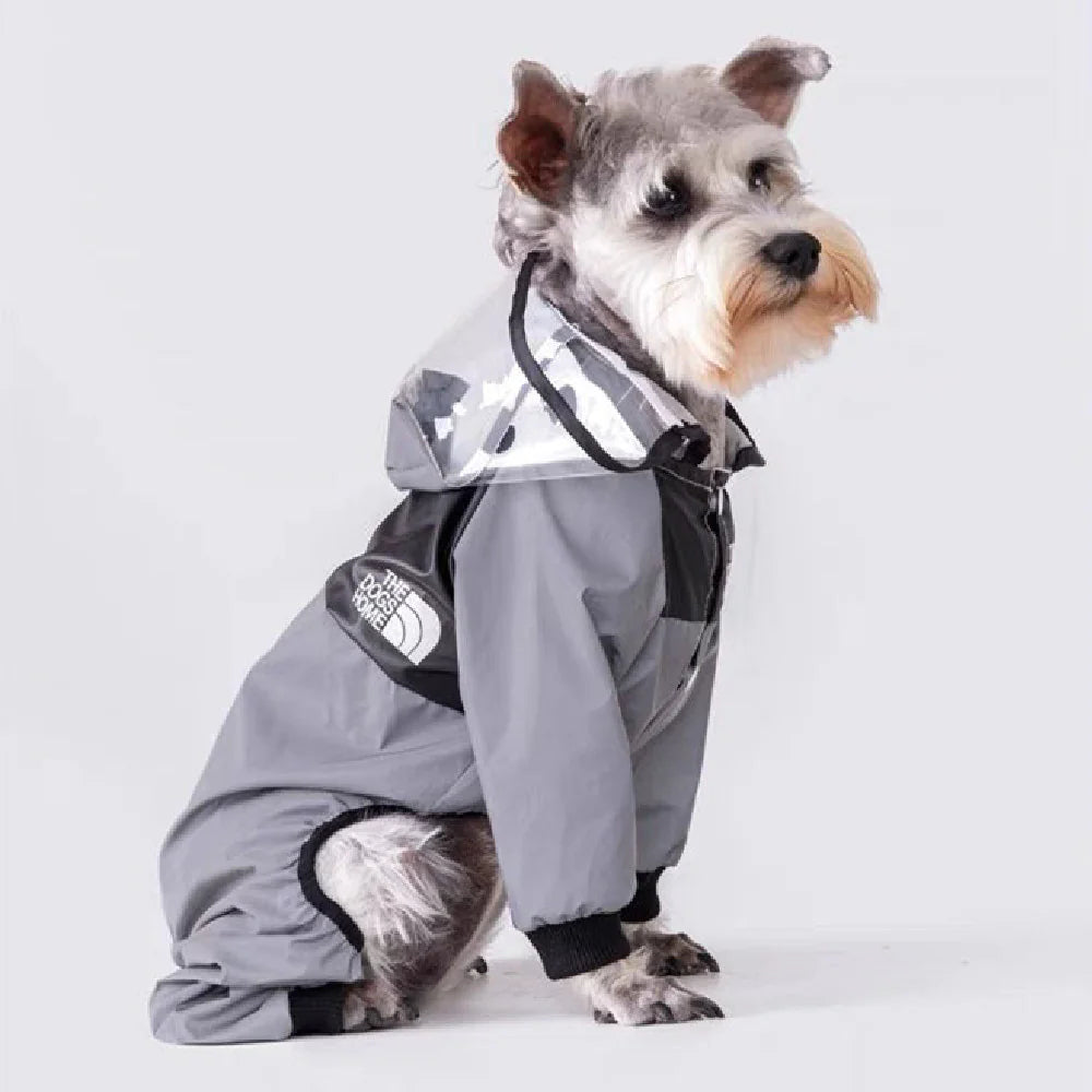 Gray Transparent Raincoat