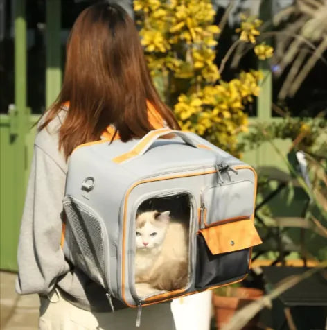 Deluxe Feline Travel Pack