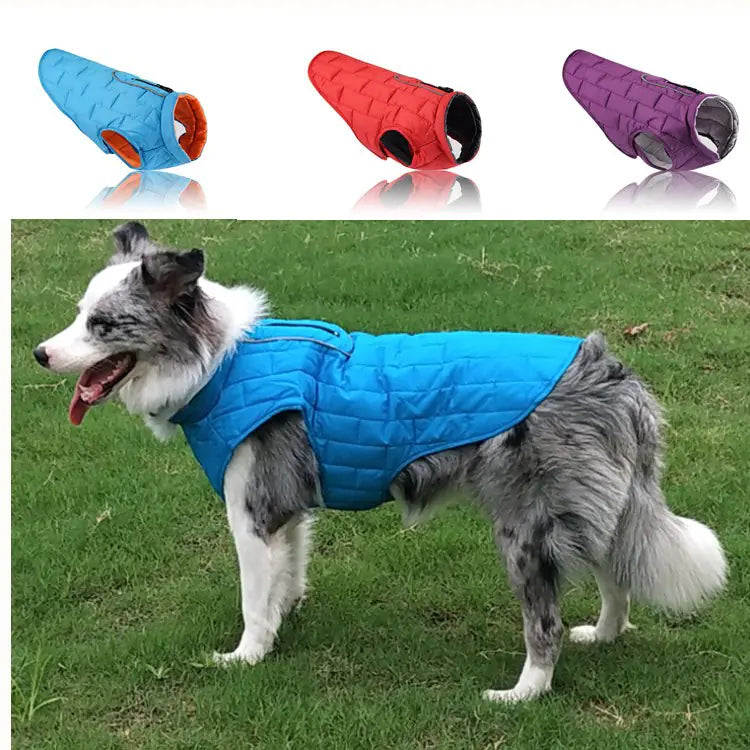 Regal British Dog Apparel
