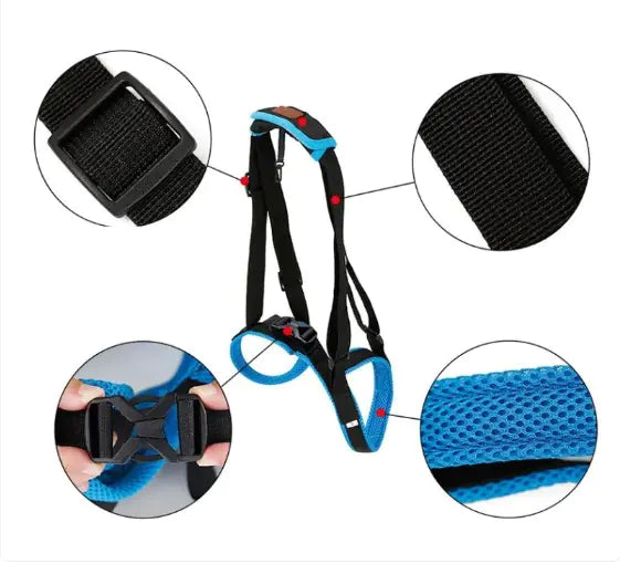 Canine Leg Support