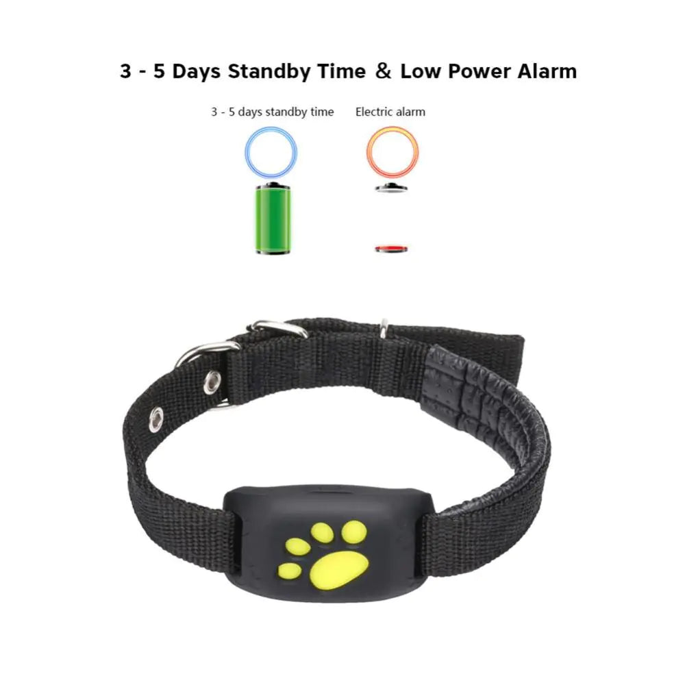 PetSafe GPS Tracker Collar